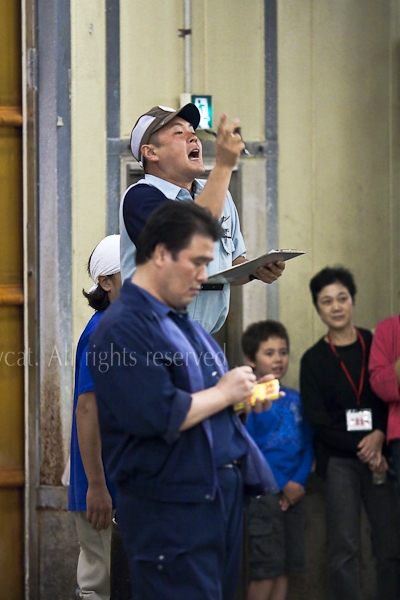 ...the auction master babbles out prices at indisguistable pace...