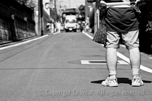 500pix_MG_9429
