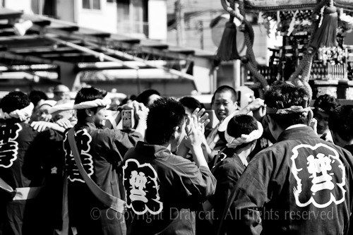 500pix_MG_9630