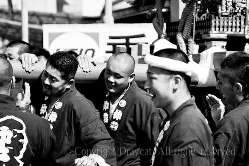 500pix_MG_9642
