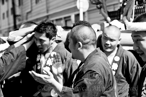 500pix_MG_9664
