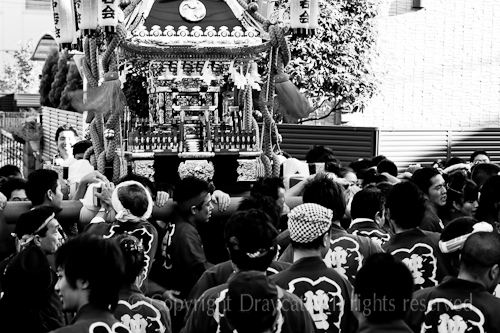 500pix_MG_9810