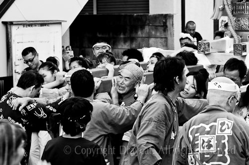 500pix_MG_9842