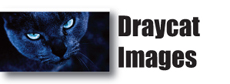 Draycat.com